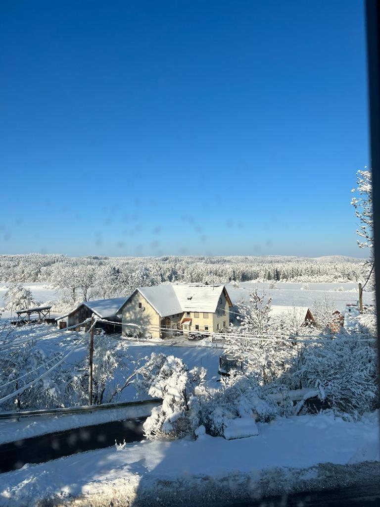 Fe Wo Brunnen - 120 Qm - Ruhige Lage - Viel Natur- Komfortabel - Grosser Balkon Und Garten Мемминген Экстерьер фото